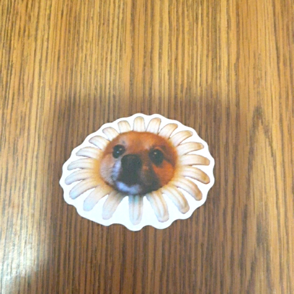 Meme sticker
